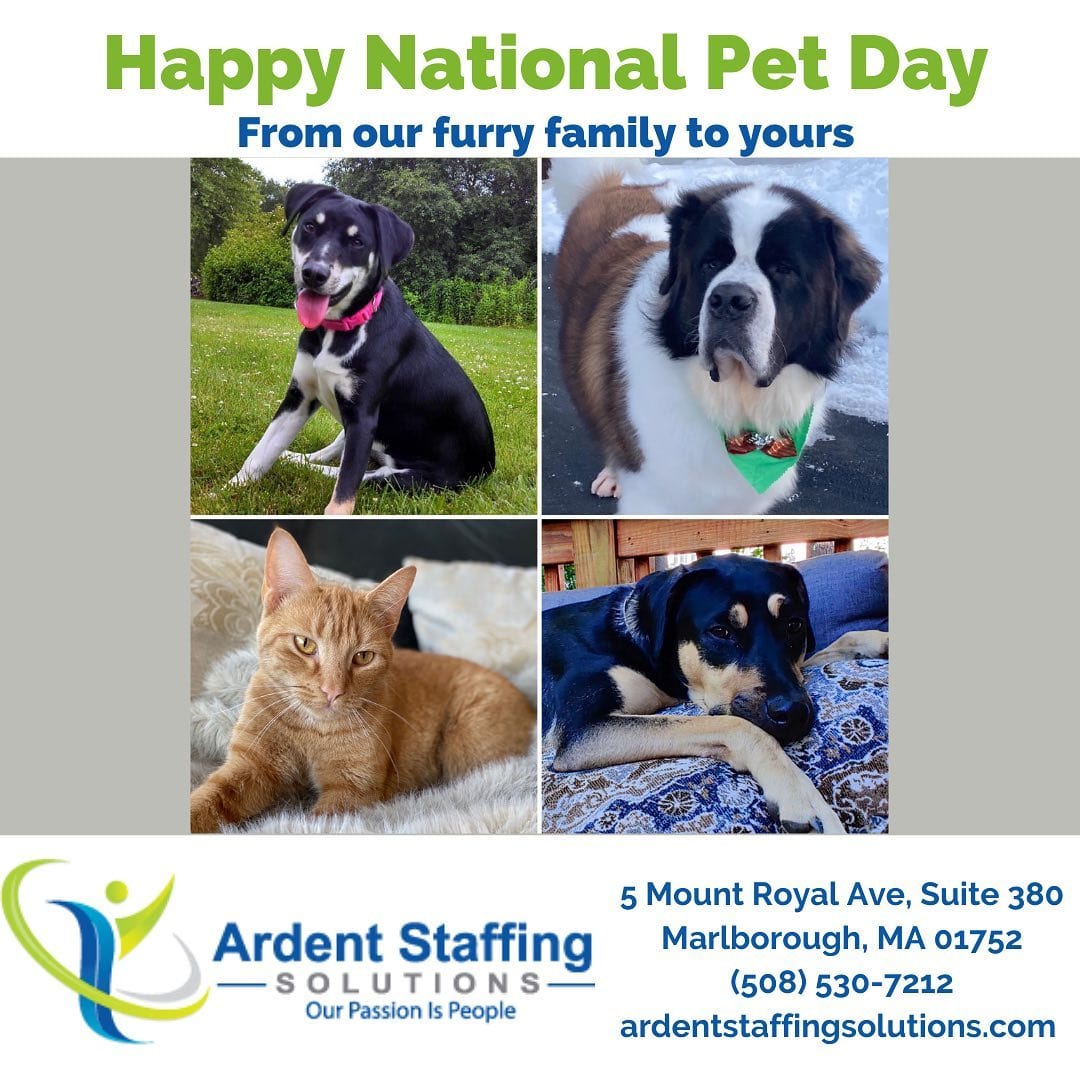 @ardentstaffing is wishing all our furry friends a very happy day! Once you’re done celebrating, tell your humans to call us for a new job!! We have lots of great opportunities available!!